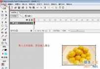 用flash制作图片的缩放、放大效果基础教程