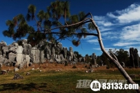自然界的鬼斧神工 探索中国十大神秘景观