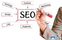 执行seo项目时容易显露出来的八大不正确