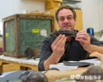 恐龙蛋要花3-6个月才能孵化成功？