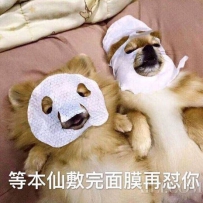 不屯面膜不安心？囤货这些面膜干燥暗沉都不叫事儿