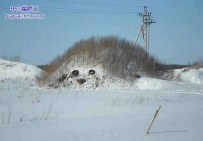 此山真形象、