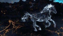 水艺术（5张）