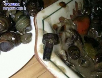 这可是螺丝钉啊