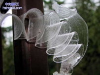 完美的自然冰花