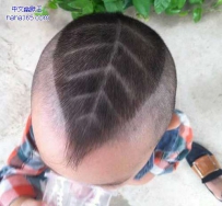 是片叶子吗