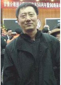 陈力丹