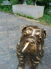 哎。。小子。给爷过来。。