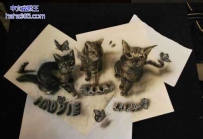 画笔下的3D（16张）