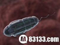 科学家研制特殊碳纳米管材料可制成纳米机器人（图）