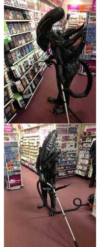 图书馆来的新店员
