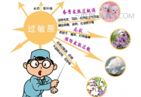皮炎有哪些类型