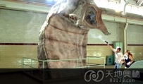 令人震惊：历史上无法考证的生物