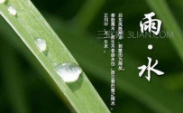 雨水节气养生小常识