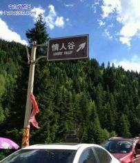 这让我想起了天龙八部的情人谷