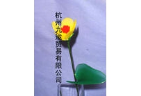 中草药大全―萍蓬草