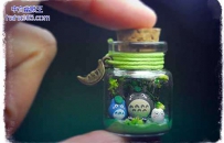 瓶子里的吉普力（6张）