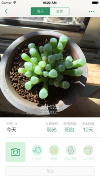识花APP哪个好？6款识花软件推荐