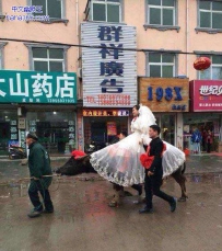 牛逼的婚礼