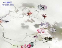 花草拼贴画（8张）