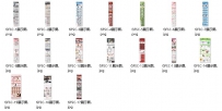 淘宝网店装修17套高仿商城.rar\17套高仿商城950布局标准版