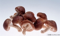 高温栽培蘑菇的新方法