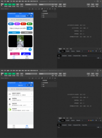 抖音快手短视频去水印微信小程序源码下载内附接口.zip\A918\