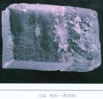中草药大全―大青盐