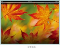 iPad的“亮度与墙纸”设置