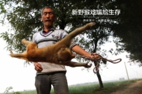 耍猴人的艰难生存，从业者从以前的万人到现在的几百人