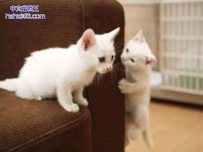 不要生气了！跟你说声对不起