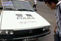 胆子挺肥啊