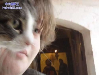 猫脸与人脸的和谐