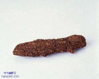 间谍设备（17张）